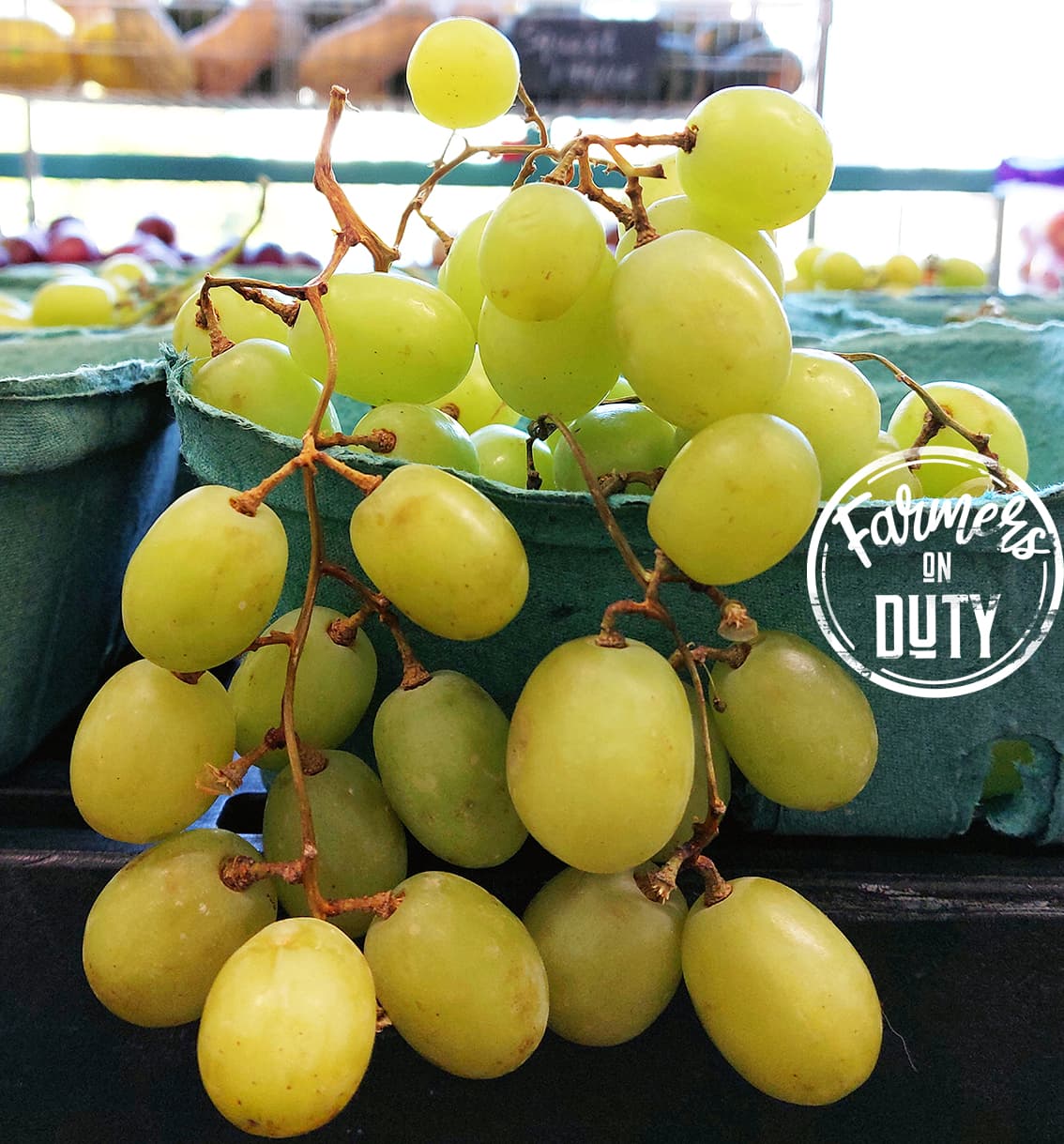 Organic Grapes Green