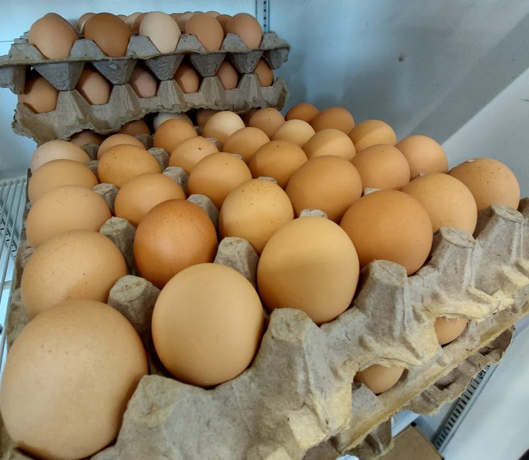 Free Range Flat Ć30 Eggs